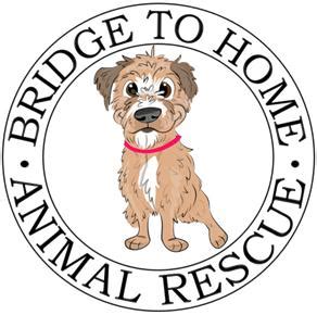 Bridge to Home Animal Rescue Custom Ink Fundraising