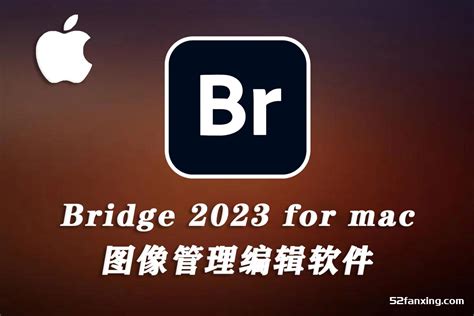bridge 2023 v13.0.4 win