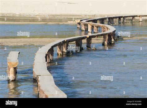 bridge over shallow water