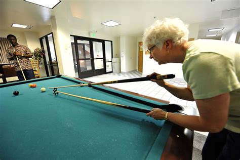 Bridge Stick In Pool