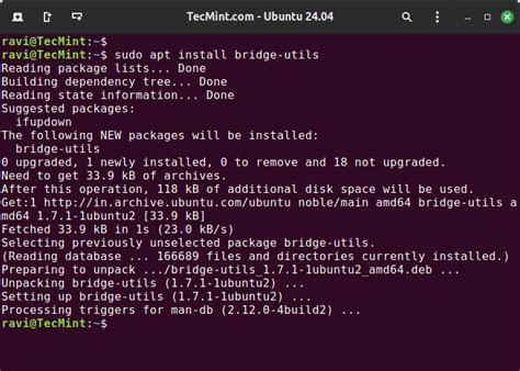 Bridge Two Network Interfaces Ubuntu