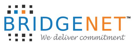 bridgenet solutions sdn bhd