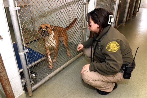 bridgeport animal control facilities