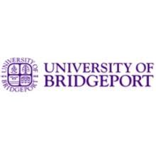 bridgeport university application login