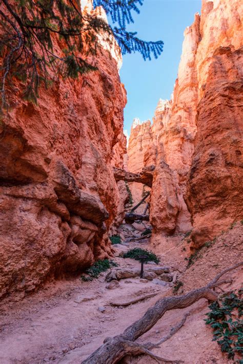 Discover the Majestic Wonders: Exploring Bridges at Bryce National Park