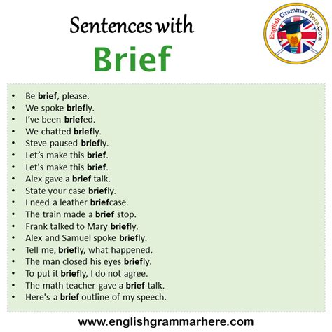 Brief Example In Sentence