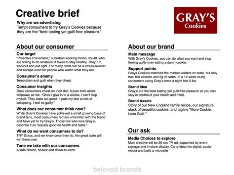 brief overview meaning example