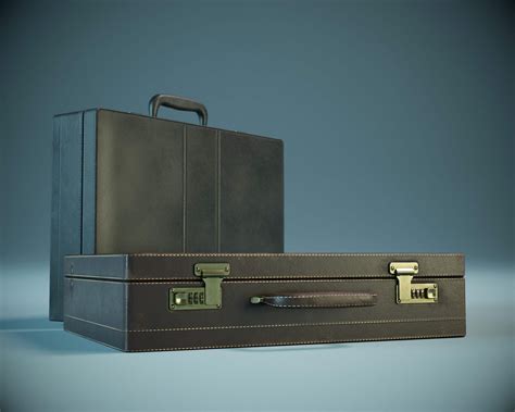 Briefcase Model Meaning
