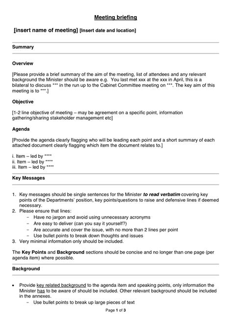 Briefing Meeting Example
