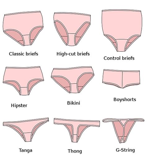 Briefs Dictionary Meaning