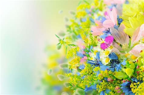 Bright Floral Backgrounds