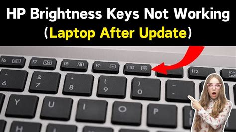 brightness function keys not working hp laptop