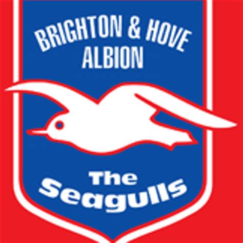 brighton fc twitter