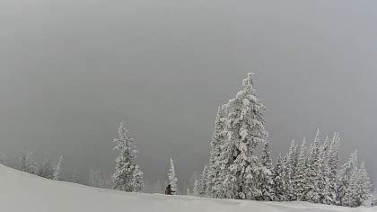 brighton ski resort webcam