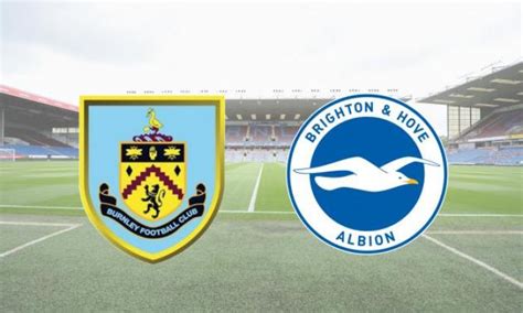 brighton v burnley fc