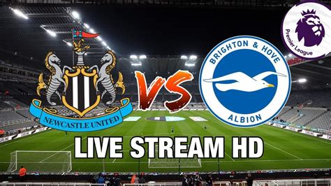 brighton v newcastle tv channels