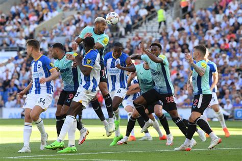 brighton vs newcastle live