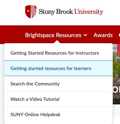 brightspace stony brook course schedule