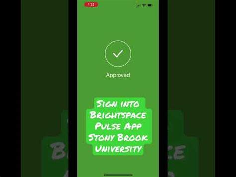 brightspace stony brook tutorial