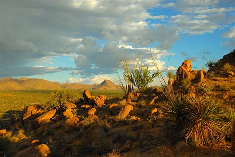 A Beautiful Sonoran Desert Evening Photograph by Saija Lehtonen Pixels