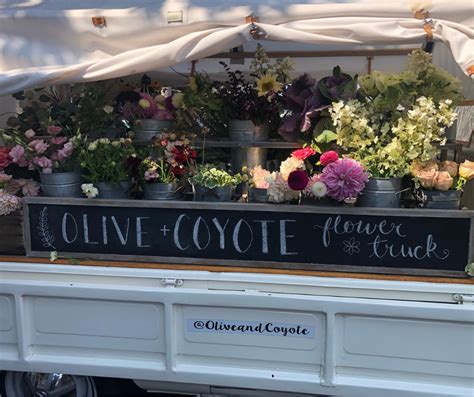 brinx jackie victoria