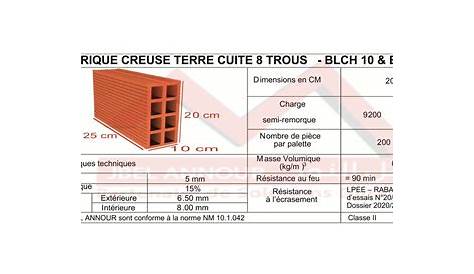 TERREAL Brique creuse LP 10x20x50cm Rp=0,24 m².K/W