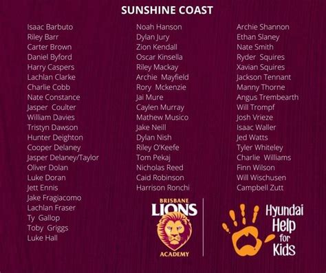 brisbane lions academy level 2