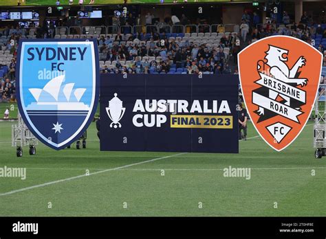 brisbane roar australia cup final