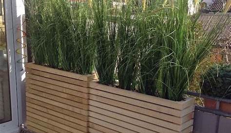 Brise Vue Balcon Vegetal 1001 + Idées De Plante vue Pour Ou Jardin