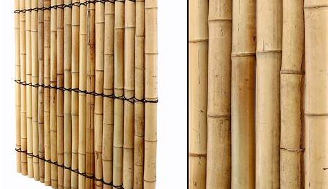 Brise Vue Bambou vue XXL Nigra, 90x180 Cm Clôture De Jardin En