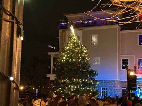 Bristol Tree Lighting