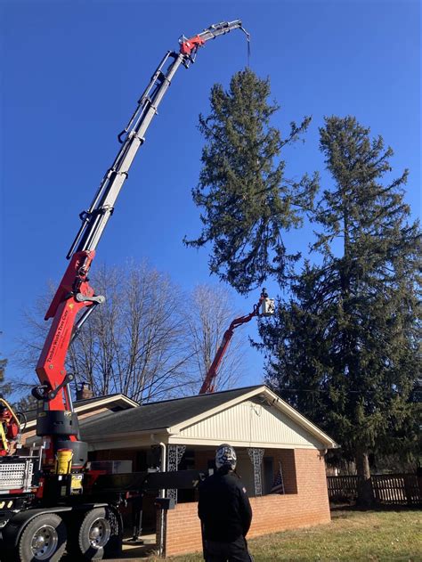 Bristol Va Tree Service