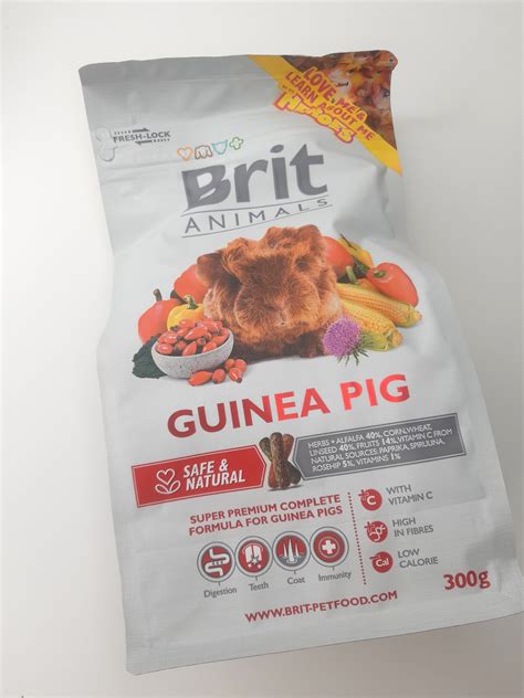brit animals guinea pig