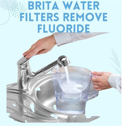 Brita Water Filter Remove Fluoride