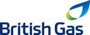 british gas problems with website