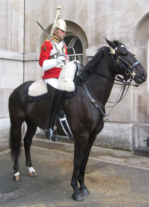 british royal horse guards