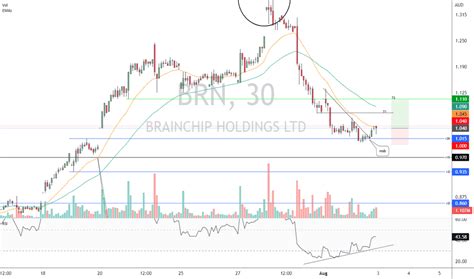 brn share price forecast
