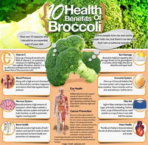 Broccoli Benefits For Bones