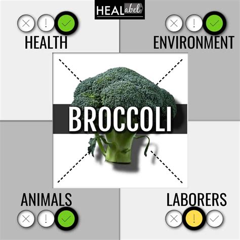 Broccoli Benefits Side Effects