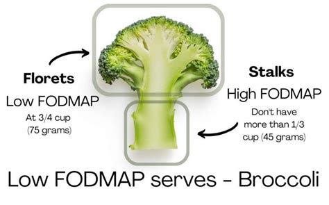 Broccoli Fodmap Diet