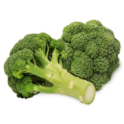 Fresh bunch of broccoli