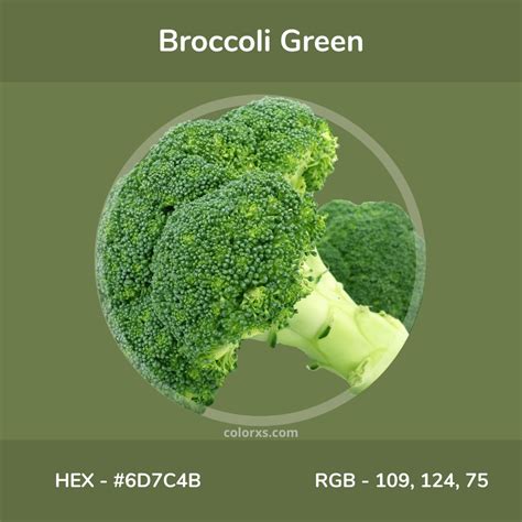 Broccoli Green Color