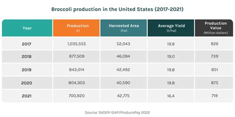 Broccoli Production By State