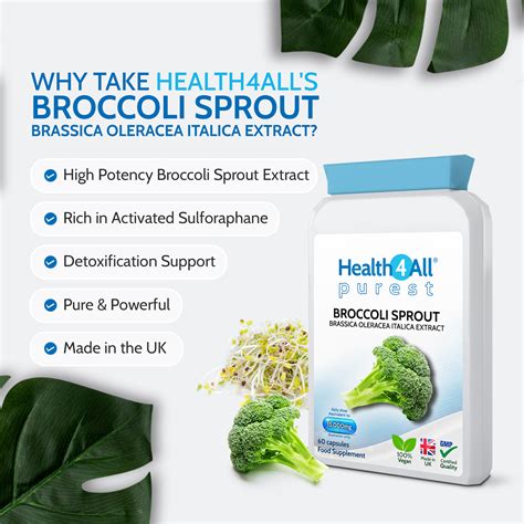 Broccoli Sprout Extract Dosage