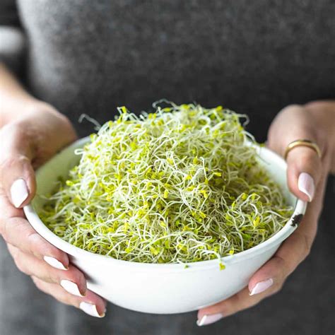 Broccoli Sprouts Calories