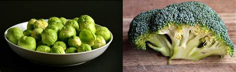 broccoli sprouts vs broccoli