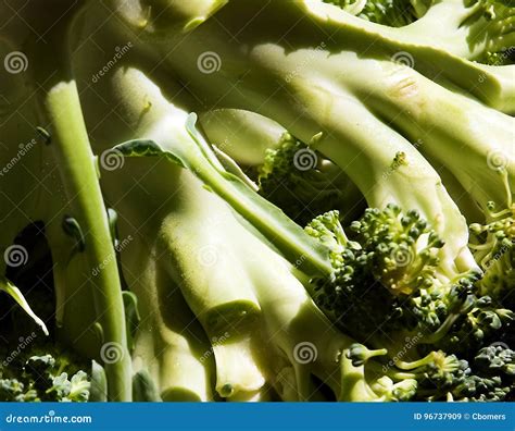 Broccoli Stalks Raw