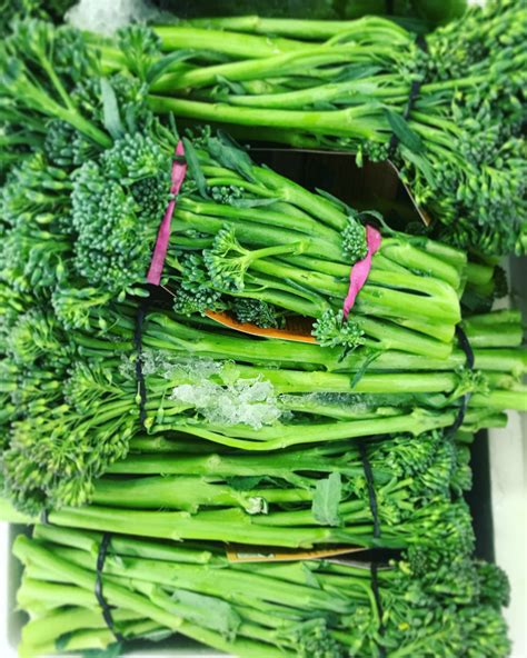 Broccolini Exploitation