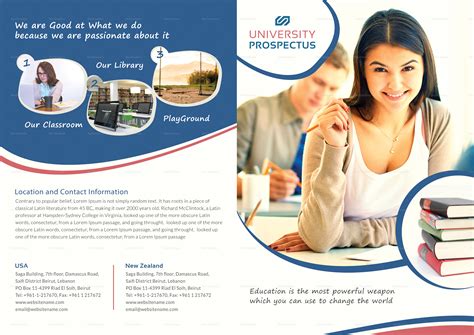 Brochure Examples Student