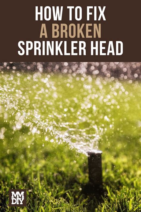 Broken Head in the rain